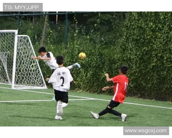 丽水青年男子足球比赛精彩直播全程回顾与精彩瞬间分享