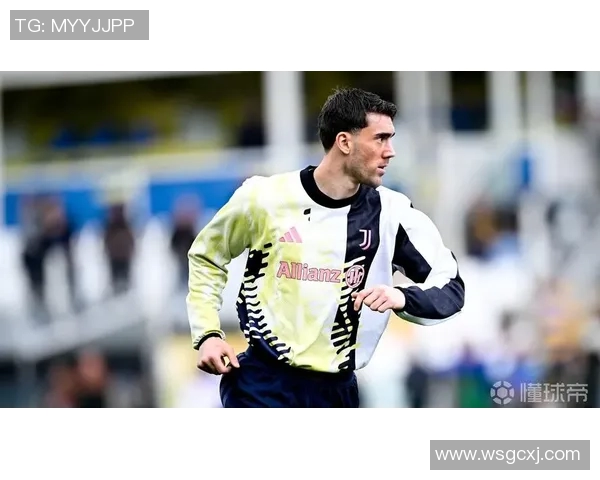 弗拉霍维奇:从新星崛起到足球巨星的辉煌之路