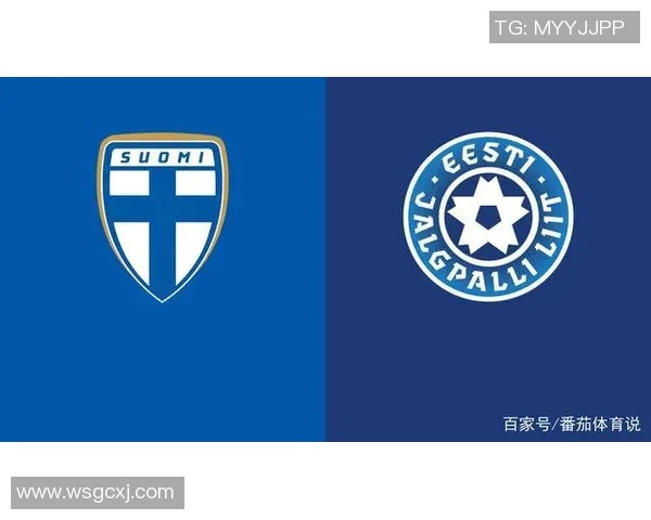 芬兰与爱沙尼亚足球赛精彩比分揭晓分析与回顾 芬兰与爱沙尼亚足球赛精彩比分揭晓分析与回顾