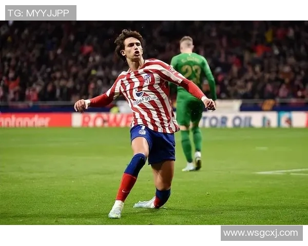 马德里竞技签下葡萄牙国脚若奥·菲利克斯，转会费高达1.26亿欧元